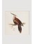 Bird Serisi Tablo No: 3 2
