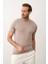 Erkek Çizgili Bisiklet Yaka Slim-Fit Kalıp Ince Triko Tişört Vizon - 5013DNGR 1