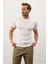 Erkek Bisiklet Yaka Slim-Fit Kalıp Yazlık Triko T-Shirt Beyaz - 5017DNGR 3