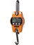 Plt-Power Mını Crane Scale 300KG 1