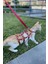 Modlive Full Body Kedi Harness, Kedi Gezdirme Tasması, Kedi Sokak Tasması - NPC011 2