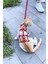 Modlive Full Body Kedi Harness, Kedi Gezdirme Tasması, Kedi Sokak Tasması - NPC011 4
