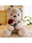 Rose Bear Teddy Bear Sevgililer Günü Teddy Bear Peluş Oyuncak 50CM (Yurt Dışından) 1