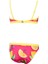 Grape Bikini 2