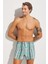 Tempt Boxer 1