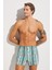 Tempt Boxer 2