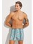 Tempt Boxer 1