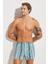Tempt Boxer 2