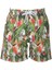 Parrot Sort 1