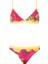 Grape Bikini Takımı 1
