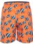 Nemo Sort 1