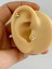1 Adet G23 Titanium ( Titanyum ) Zirkon Taşlı Tragus Helix Conch Lobe Uyumlu Piercing 1