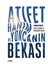 Atıfet Hanım ve Yoncanın Bekası - Serdar Koçak 1