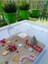 Define Avı Temalı Duyusal Oyun Seti (2-5 Yaş) - Montessori Oyuncak 4