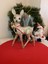 Yılbaşı bronz simli ceylan 23 cm noel christmas yeniyıl fiyonklu süs 1