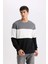 Regular Fit Bisiklet Yaka Jakarlı Sweatshirt D5393AX24AU 3