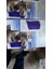 Kedi Masaj ve Kaşınma Fırçası 2