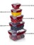 5'li Master Dikdörtgen Saklama Kabı (550 ml - 1000 ml - 1800 ml - 3000 ml - 5000 Ml) 3