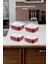 4'Lü Set No Frost Saklama Kabı Carmen 700 ML 2