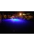 Bluefin LED Piranha P12 Su Altı Lambası 7250 Lümen Mavi Beyaz 12/24V 3
