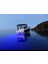 Bluefin LED Piranha P3 Su Altı Lambası 1610 Lümen Mavi 12V 4