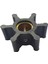 22405 Impeller Lastiği 1