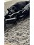 G-80 Siyah Protec Harguard Galvanizli Bisiklet - Motosiklet Kesilmez Zincir Ve Kilit 1.5 Metre 5