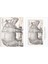 Durer’s Rhinoceros Özel Tasarım Kılıflı A4 Poster 2