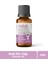 Kedi Otu Yağı - 20ML Saf, Doğal, Katkısız 1