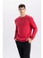 Regular Fit Bisiklet Yaka Kalın Basic Düz Sweatshirt T3777AZ24AU 3