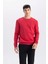 Regular Fit Bisiklet Yaka Kalın Basic Düz Sweatshirt T3777AZ24AU 4