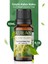 Ylang Ylang Esansiyel Uçucu Koku Yağı Difüzör Esansı Buhurdanlık Yağı Aromaterapi Yağı 10ml 1