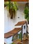 Ahsapduvardekor, Kuş Evi, Kuş Yuvası, Otantik Duvar Dekoru, Kuş Besleme Kafesi 2