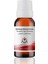 Pumpkin Spice Esansı 10 ml 1