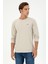 U.S. Polo Assn. Erkek Taş Sweatshirt 50290602-VR049 1