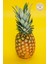 Ananas Kurusu Doğal ve Katkısız- 1 kg 4