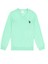 U.S. Polo Assn. Erkek Çocuk Mint Triko Kazak 50294200-VR090 1