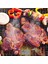 Fiberglas Barbekü Teli | Mangal Teli 40x50 Cm (FBT-40) 2