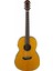 Csf-Ta Transacoustic Parlor Elektro Akustik Gitar 1