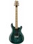 Swamp Ash Special Elektro Gitar 1