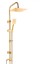 Titan 304 Gold Robot Duş Seti 1