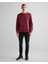 Erkek Bordo Regular Fit Sweatshirt 2