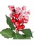 Yılbaşı Çiçeği Pike Karlı Berry Kırmızı-Yeşil 30 Cm. 2