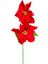 Yılbaşı Çiçeği Puansetya 2 Çiçekli Kırmızı 75 Cm. 1