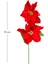 Yılbaşı Çiçeği Puansetya 2 Çiçekli Kırmızı 75 Cm. 3