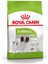 Xsmall Adult Yetişkin Köpek Maması 1.5 Kg 5