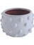 Noktalı Terracotta Saksı & Vazo 2