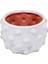 Noktalı Terracotta Saksı & Vazo 5