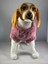 El Yapımı Köpek Kıyafet (Pembe Kazak) 1