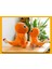 Charmander 20cm Yeni Stil Pokemon Peluş Oyuncak Figür 5